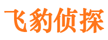 君山市婚姻调查